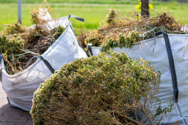 Best Yard Waste Removal  in Horn Lake, MS